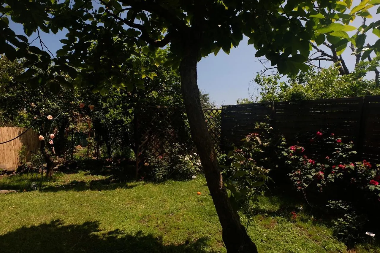 Bed & Breakfast B&B Casanera Riposto