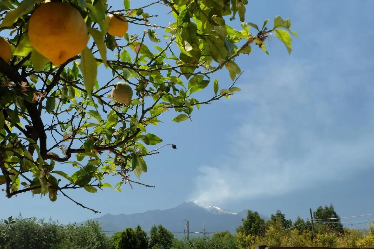 Bed & Breakfast B&B Casanera Riposto