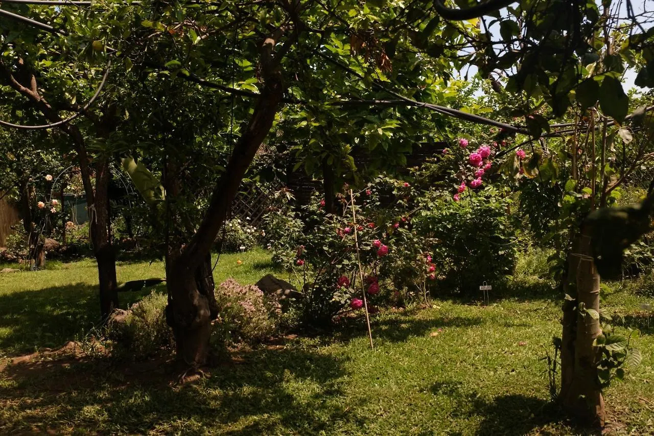 Bed & Breakfast B&B Casanera Riposto